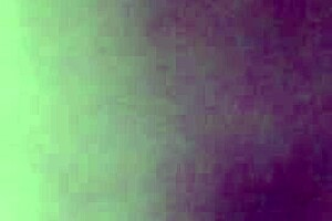 Wet pussy and asshole in homemade video