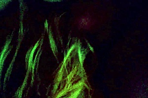 Well, When You Know It's Going Down.