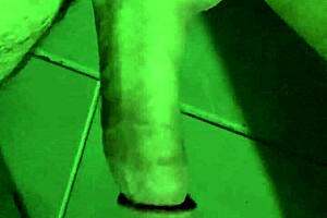 Tease My Trimmed Pussy Now?