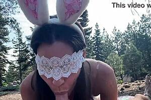 Bunny explores the woods with cute friends and a piercing adventure