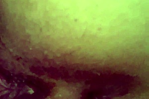 Clitty Vibrations Drive Her Wild Until She Cums Hard