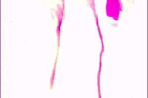 She pees, then I lick her dry