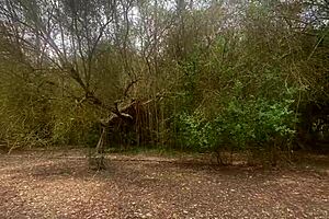 Blowjob on the mountain with stepbrother! 😘