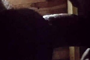 Intense Homemade Fucking with Curvy Latina Mature Amateur Close-Up