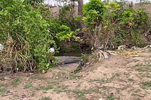 An Adventure In The Forest