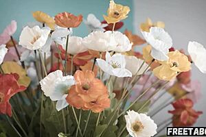 Kyler Quinn Loses Anal Virginity to Teacher on Desk in Classroom.