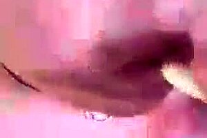 Kandy Kane, Sri Lankan Housewife, Gives Deepthroat Blowjob