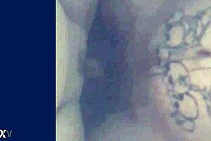 Amateur pussy and cock compilation scenes