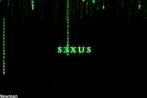 New scene alert playserena bradnewmanxo the missing link ⬇️ s3xus