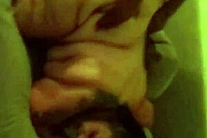 Banging friend of a friend