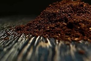 big ass latina lina nakamura fucks john coffee on the street