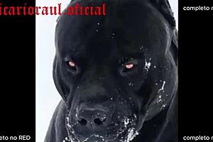 Pajama party turns into lesbian sex with toys and anal.