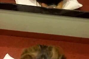 The Sound Of Love In Blowjob Session