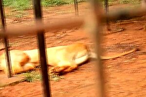 How did his huge cock fill my tight ass in public?