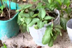 Risky sex with my cousin, so hot! 😍