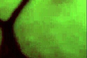 MY FRIEND'S WIFE COMES OVER AND WE FUCK HARD!