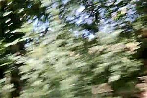 I Took a Selfie with My Tits Exposed in the Car, Feeling So Naughty