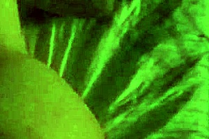 Giving my husband a great fuck on our sex tape 😍