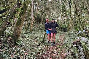 Stepsister Gets Fucked In Forest And Cums On Her Big Tits