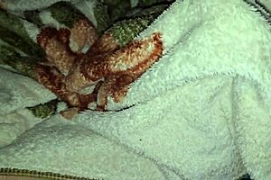 Brincando com minha enteada virgem com sua calcinha nova masturbação jovem e primeira penetração