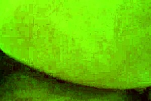 abogado infiel estrena el co�o de la nueva secretaria gordibuena ella quiere tambien ser abierta por el culo