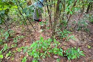 สาวไทยเดินคุยเล่นเก็บเห็ดในป่า แอบโชว์ในป่าลึก เสียงไทยชัด 🌳