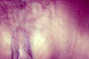 Rough Van Fuck for Busty Waitress