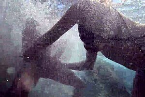 under water sex with hot milf tight pussy monster cock sauna riding outdoor