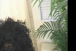 Theshimmyshow Island Hottie From Trinidad Ft Foxy Roxy Blowjob In Shower