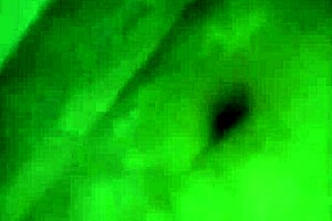 Indian Tamil couple engages in passionate intimacy.