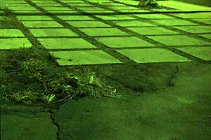 STRANDED TEEN 18+ AMATEUR ROUGH FUCKED OUTDOORS!