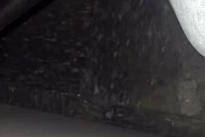 gloryhole fun with thickdickbandit