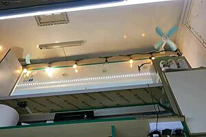 The boss teases and fingers his sexy young shop assistant's shaved wet pussy outdoors while she chats with a customer.