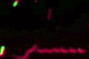 Skinny Latina Slut Gets Creampie In Homemade Compilation, But Can She Handle Rough Cowgirl And Deepthroat Bdsm?