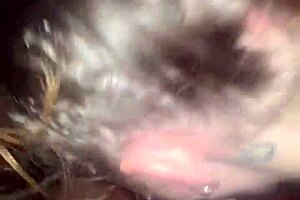 cheating girlfriend gets her mouth and wet pussy used rough by big black cock in car on new years. she takes deepthroat gagging and cum mouthful like a submissive slut.