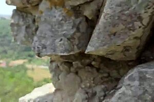 Damiana Flowers Castle Sex Trip