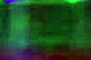 Daniela And Shaira In Solo Play Session