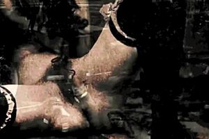 Vintage amateurs share hairy pussy moments in my secret life collection.