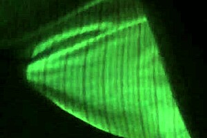 Hey, check this BJ and finger action with chubby mature on phone 😏