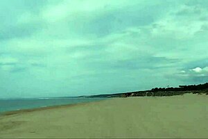 Guy on Nude Beach Spills a Lot of Milk with Intense Emotion