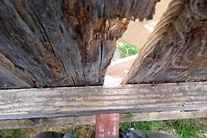 fence banging voyeur homemade fuck 😈🍆