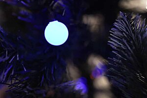 our steamy lesbian games get me so horny on new years