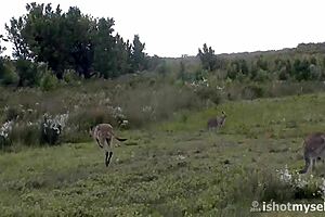 you see flashing vids on vimeo homepage all formats filtered right here