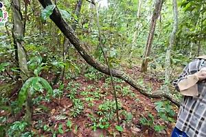 i got lost in the woods with this horny thai teen and we fucked right there