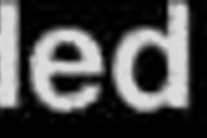 amateur couple shares intense homemade blowjob session