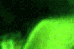 kajune drops to knees for sloppy blowjob on caleb's cock