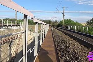 brunette teen bends over for public outdoor doggystyle pussy pounding