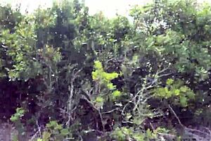 crazy public solo masturbation flashing naked orgasm voyeur uncensored clit play!