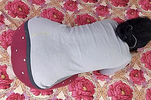 Girlfriend plays freefire with friends while getting pussy fucked hardcore