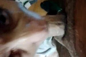 What if this sexy argentinian milf's blowjob hides more ass play?